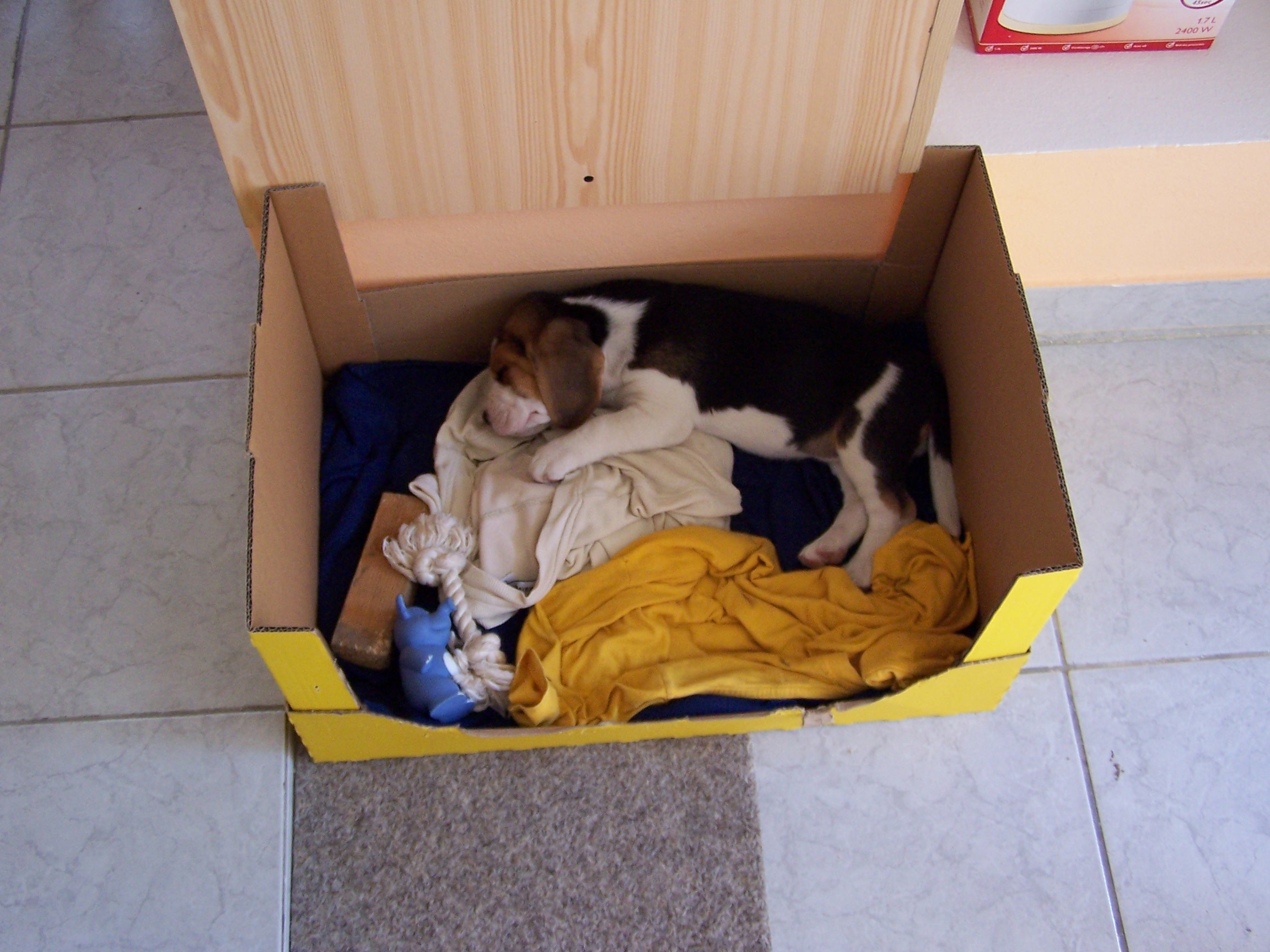 100_3057.jpg